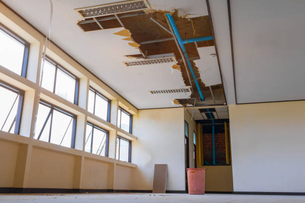 Best 24-hour water damage restoration  in Lipatria, CA