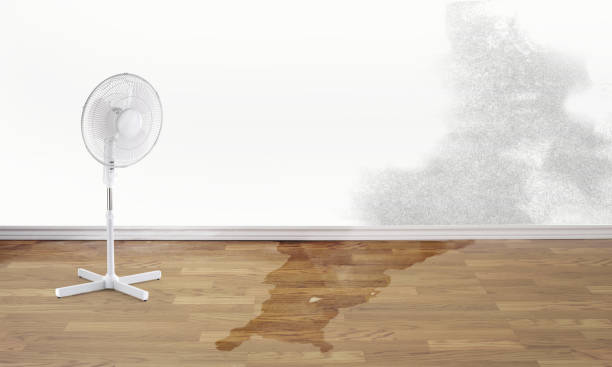 Best Water damage restoration process  in Lipatria, CA