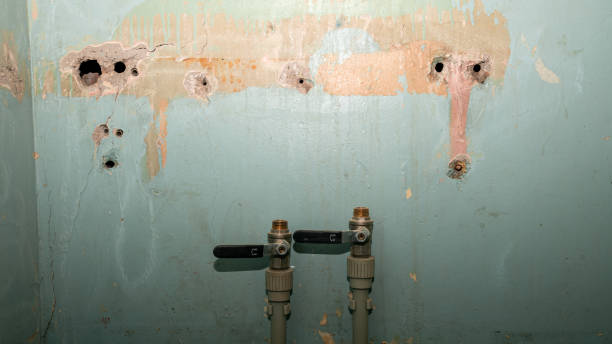 Professional Water damage restoration in CA