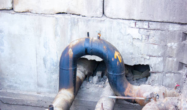 Best Water damage restoration near me  in Lipatria, CA
