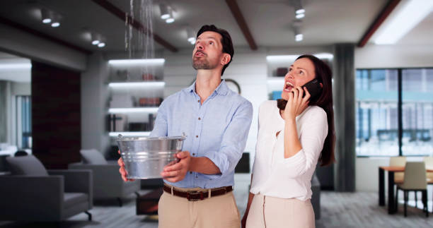 Best Flood damage cleanup  in Lipatria, CA